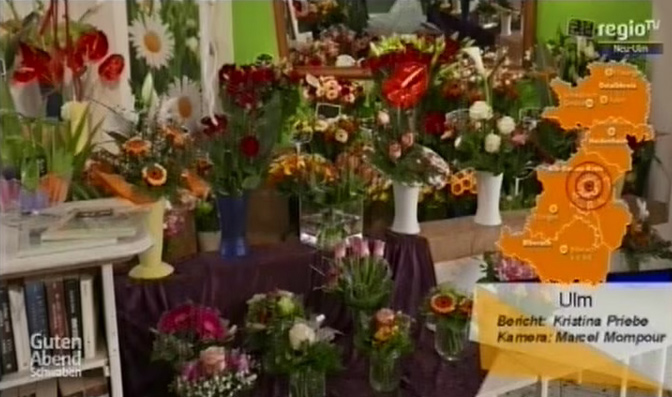 Redio TV bei Blumenwerkstatt Stocker